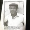 #carltonlivingston #diggin #oldies#record #LP#artist #music #発見 (Instagram)