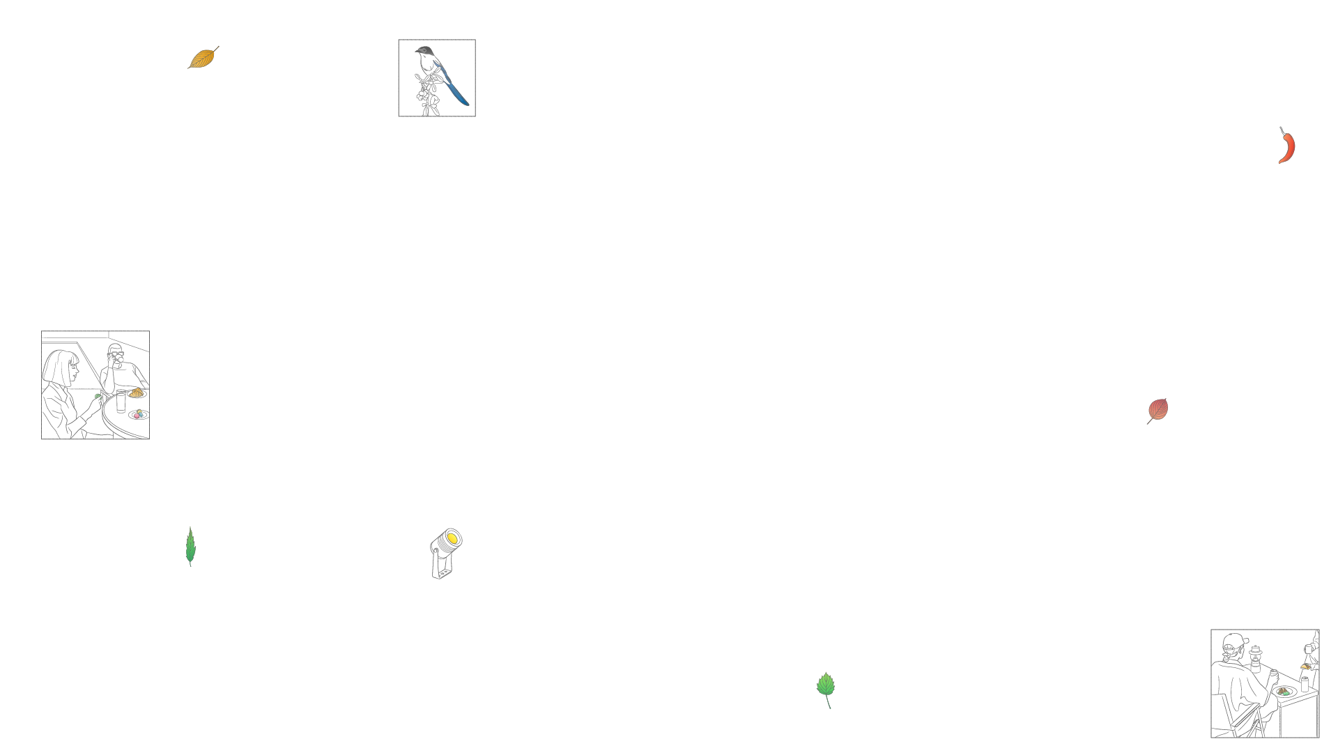 外構照明と庭での食事のシーンなど暮らしと庭をイメージしたイラスト